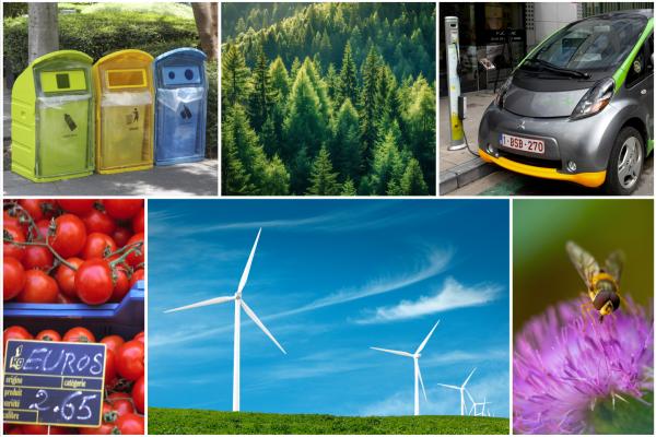 ener&env_collage.jpg